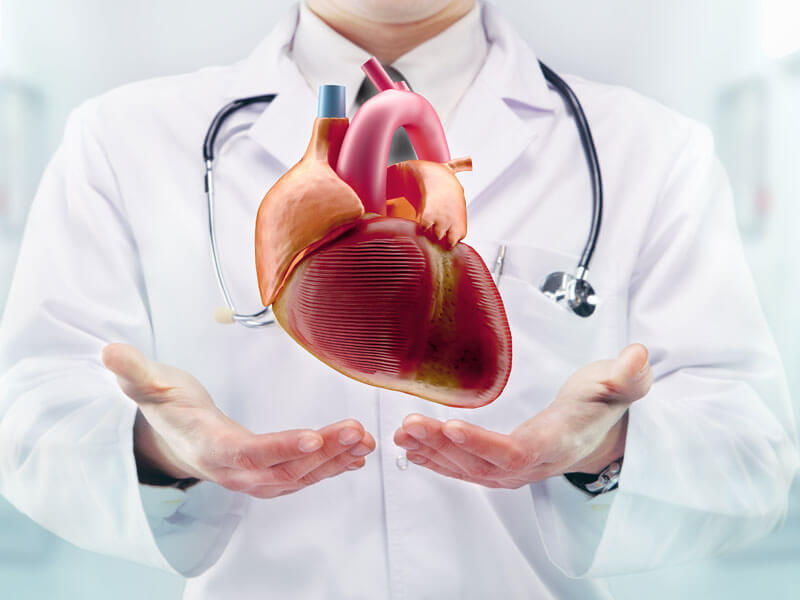 Cardiology Services at Mahaveer Clinic